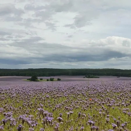 Alojamento de Turismo Rural Dom W Trawie Drawsko Pomorskie