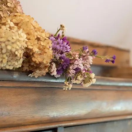 Alojamento de Turismo Rural Dom W Trawie