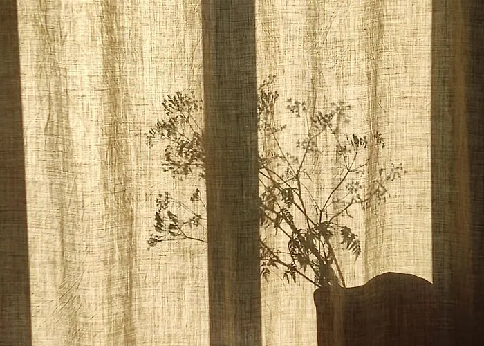 Dom W Trawie * Drawsko Pomorskie