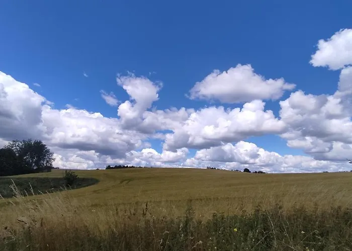 Çiftlik konaklama Dom W Trawie