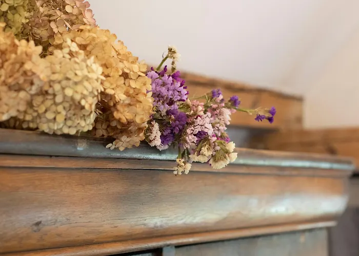 Çiftlik konaklama Dom W Trawie