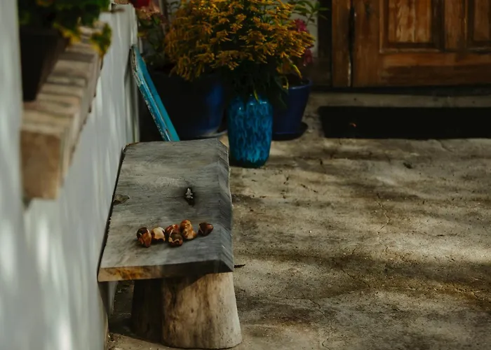 Dom W Trawie Çiftlik konaklama *