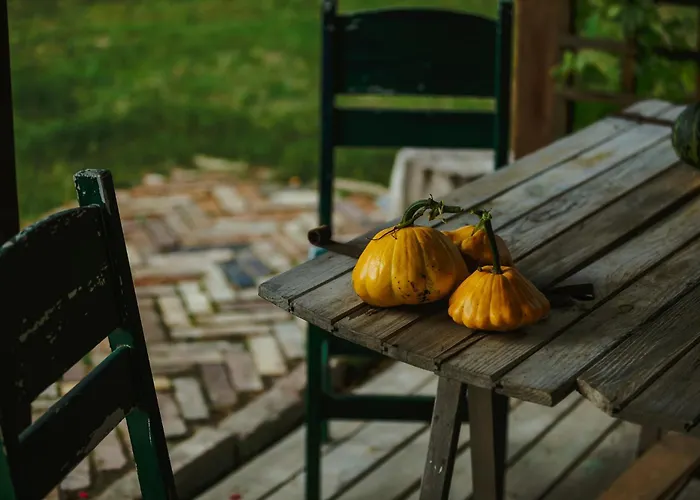 Dom W Trawie Drawsko Pomorskie