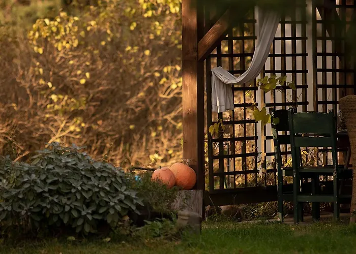 Dom W Trawie Çiftlik konaklama *